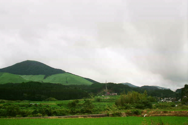 ��d�E���؉���
(620�~413pixel,36.3KB)