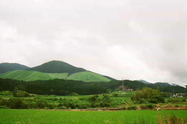 ��d�E���؉���
(620�~413pixel,41.9KB)