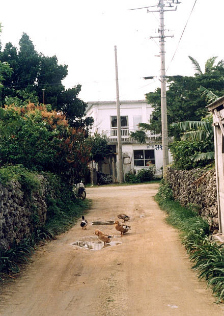 ����
(440�~620pixel,59.2KB)