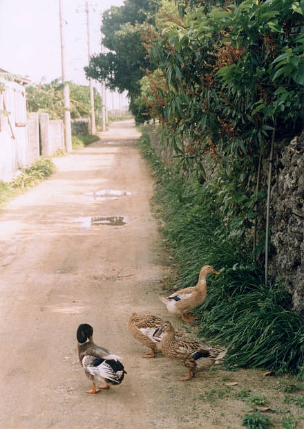 ����
(440�~620pixel,59.1KB)