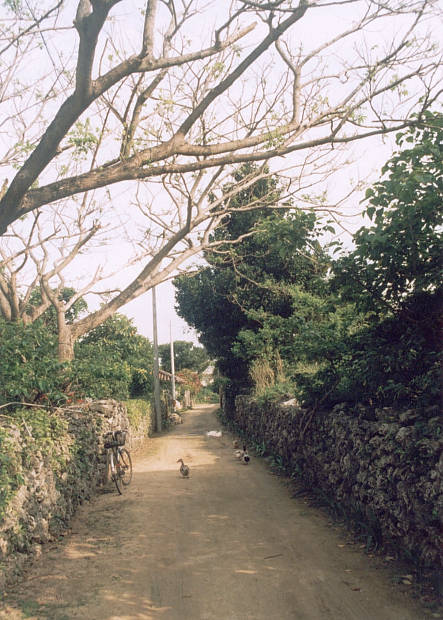 ����
(443�~620pixel,71.8KB)