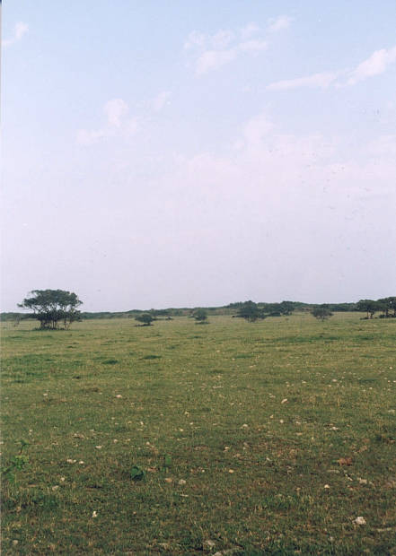 ����
(441�~620pixel,34.7KB)