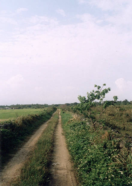 ����
(440�~620pixel,41.1KB)