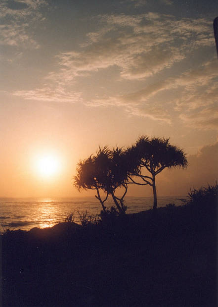 ����
(441�~620pixel,28.4KB)