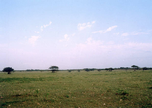 ����
(620�~443pixel,32.9KB)