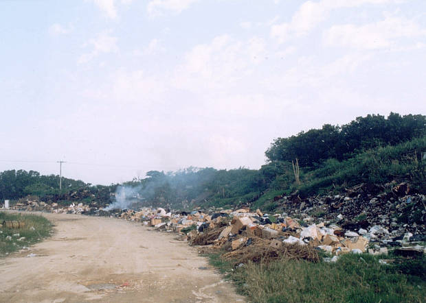 ����
(620�~442pixel,39.9KB)