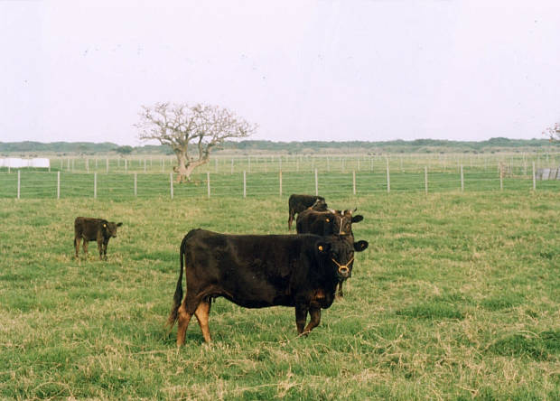 ����
(620�~444pixel,46.9KB)