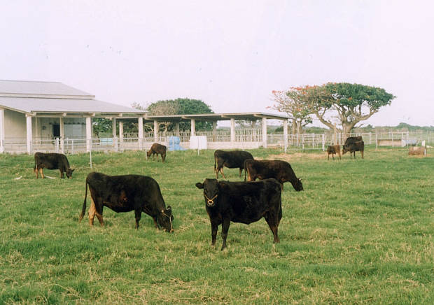 ����
(620�~436pixel,49.4KB)