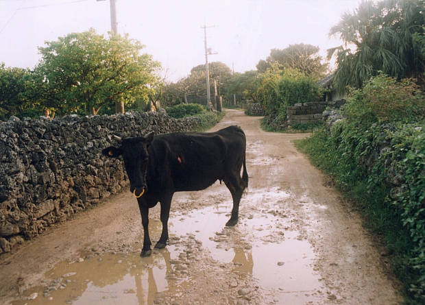 ����
(620�~445pixel,58.7KB)