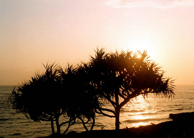 ����
(620�~442pixel,40.3KB)