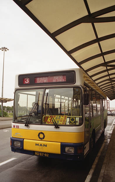 �|���g�K���̕����c���X�E�S��
(393�~620pixel,41.7KB)