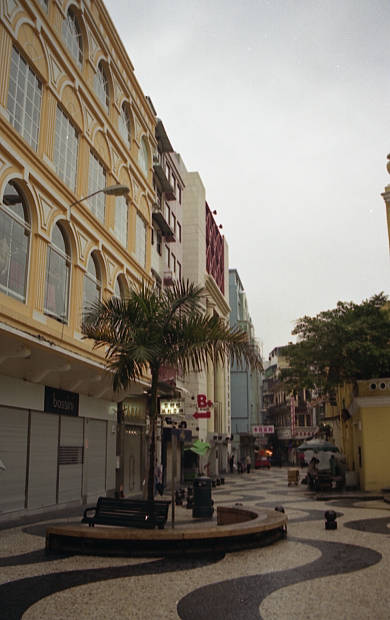 �|���g�K���̕����c���X�E�S��
(390�~620pixel,40.4KB)