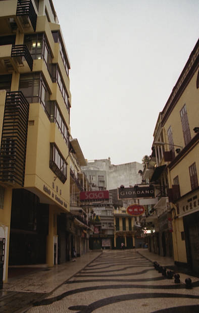 �|���g�K���̕����c���X�E�S��
(394�~620pixel,35.9KB)