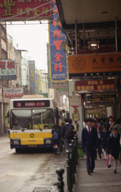 �|���g�K���̕����c���X�E�S��
(390�~620pixel,37.1KB)