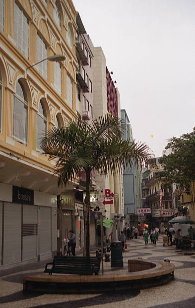 �|���g�K���̕����c���X�E�S��
(393�~620pixel,45.9KB)