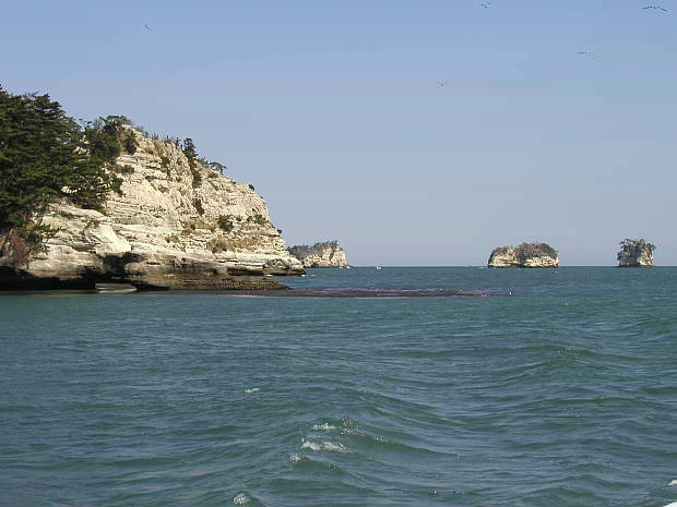 ����
(620�~465pixel,39.2KB)