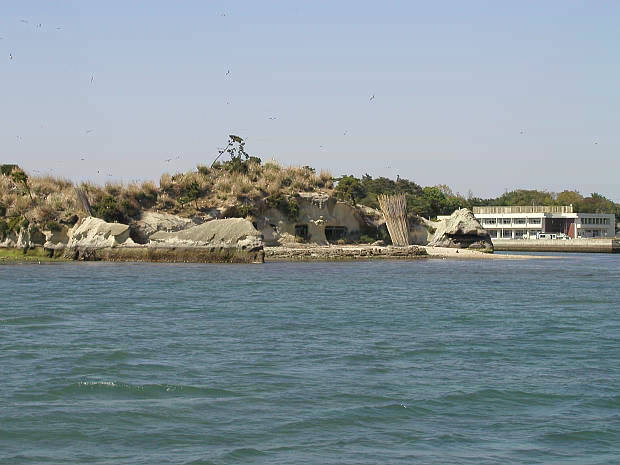 ����
(620�~465pixel,41.7KB)