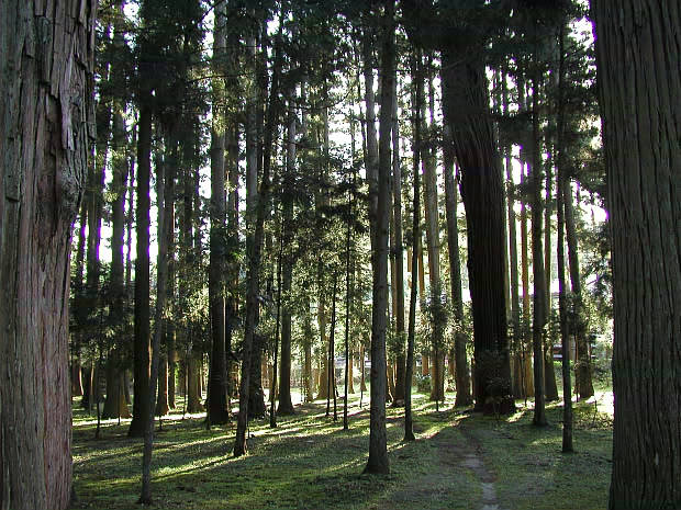 ����
(620�~465pixel,86.6KB)