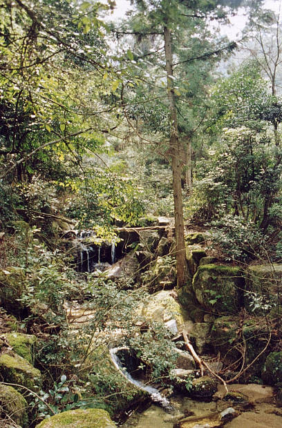 �{��
(408�~620pixel,95.5KB)