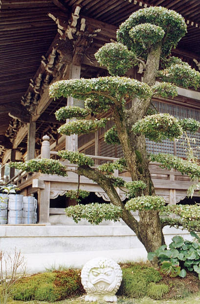 �{��
(409�~620pixel,78.0KB)