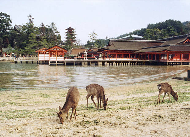 �{��
(620�~448pixel,69.9KB)