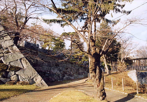 ����
(620�~430pixel,94.5KB)