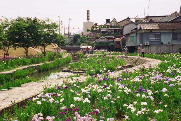 ���l�E��F���傤�ԉ�
(620�~413pixel,96.6KB)