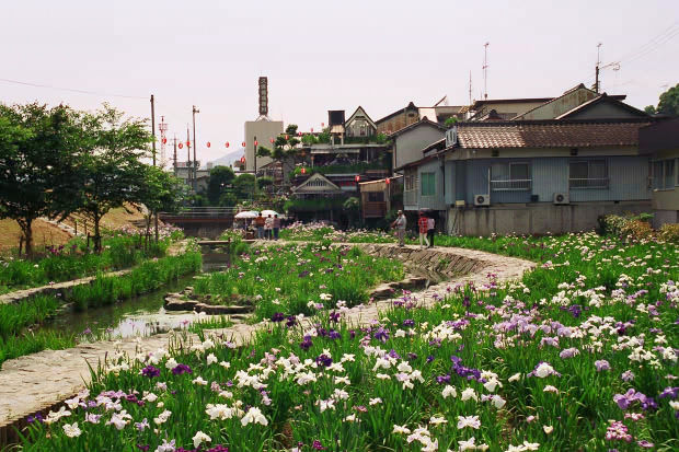 ���l�E��F���傤�ԉ�
(620�~413pixel,83.5KB)