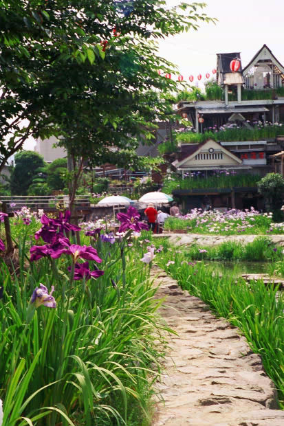 ���l�E��F���傤�ԉ�
(413�~620pixel,90.2KB)