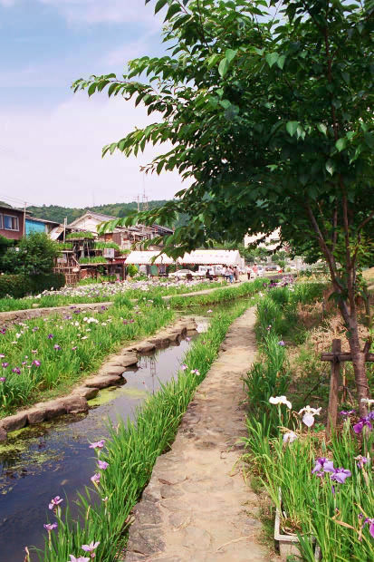 ���l�E��F���傤�ԉ�
(413�~620pixel,89.0KB)