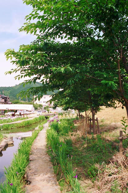 ���l�E��F���傤�ԉ�
(413�~620pixel,95.4KB)