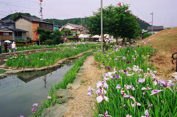 ���l�E��F���傤�ԉ�
(620�~413pixel,86.7KB)