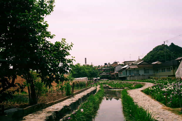 ���l�E��F���傤�ԉ�
(620�~413pixel,58.7KB)