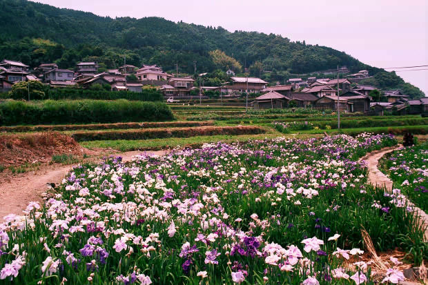 ���l�E��F���傤�ԉ�
(620�~413pixel,98.8KB)