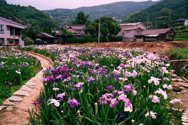 ���l�E��F���傤�ԉ�
(620�~413pixel,99.2KB)