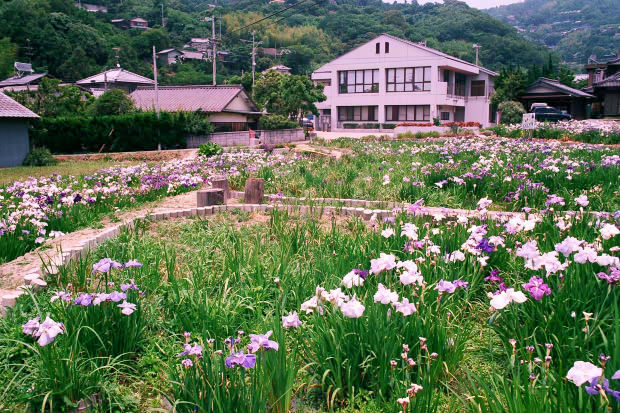 ���l�E��F���傤�ԉ�
(620�~413pixel,112.6KB)