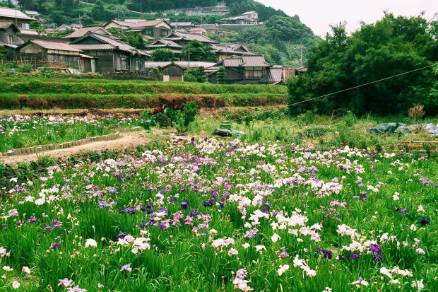 ���l�E��F���傤�ԉ�
(620�~413pixel,115.5KB)