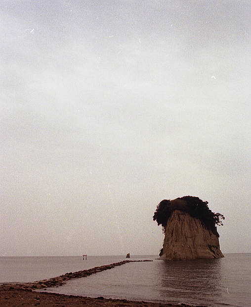 �\�o�E�R�͓�
(508�~620pixel,32.5KB)