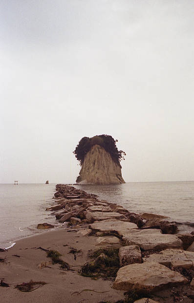 �\�o�E�R�͓�
(397�~620pixel,26.1KB)