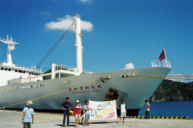 ����������
(620�~413pixel,35.8KB)