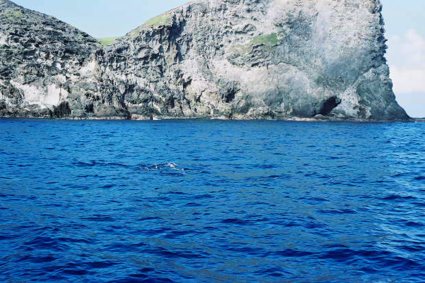 ���}���̃C���J����
(620�~413pixel,70.9KB)