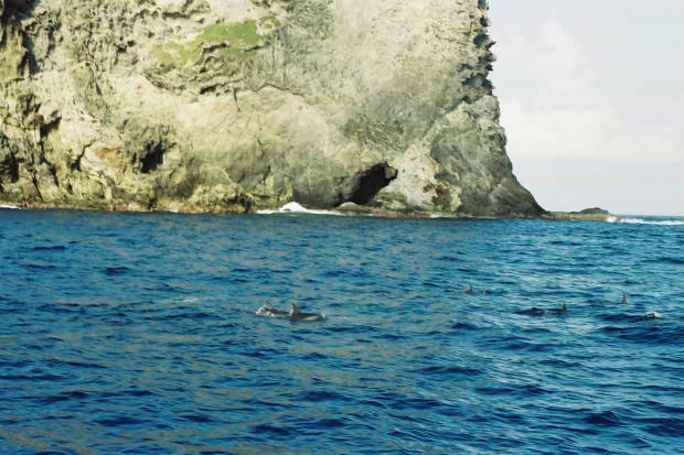 ���}���̃C���J����
(620�~413pixel,57.5KB)