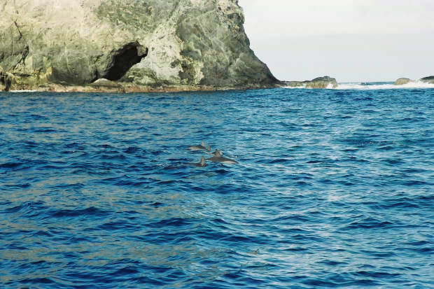 ���}���̃C���J����
(620�~413pixel,64.8KB)