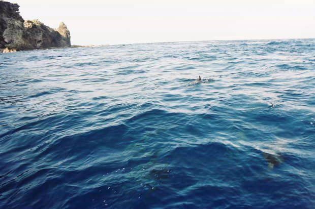 ���}���̃C���J����
(620�~413pixel,46.6KB)