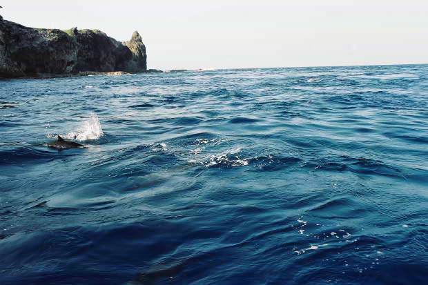 ���}���̃C���J����
(620�~413pixel,49.9KB)