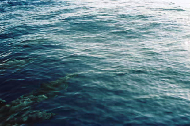 ���}���̃C���J����
(620�~413pixel,44.0KB)