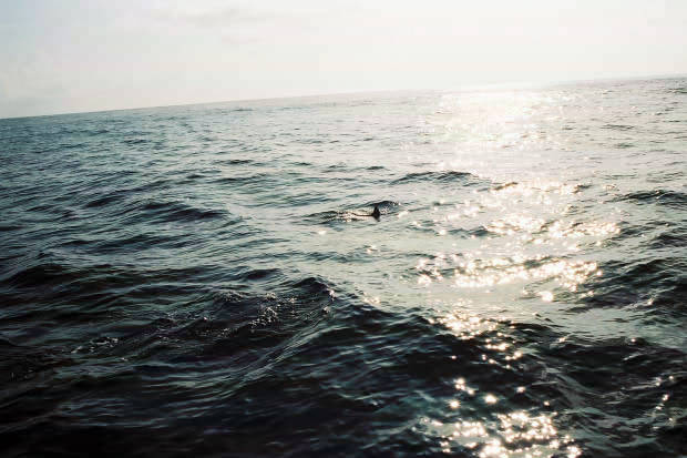 ���}���̃C���J����
(620�~413pixel,45.2KB)