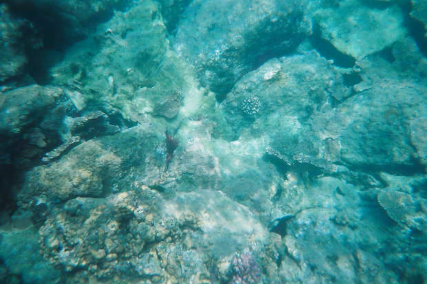 ���}���̃C���J����
(620�~413pixel,50.4KB)