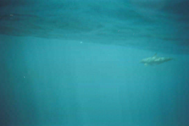 ���}���̃C���J����
(620�~413pixel,11.1KB)