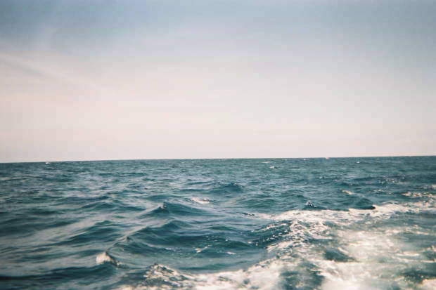 ���}���̃C���J����
(620�~413pixel,29.4KB)